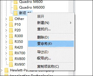 重命名項名稱為之前復制的顯卡名稱